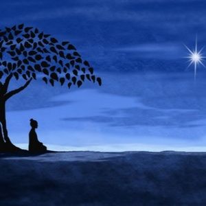 Meet your Posher, Ven.pratya